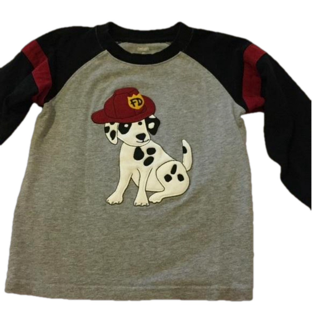 🐶GYMBOREE (Size4)gray and black long sleeve boys